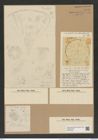 Aulacodiscus janischii Grove et Sturt (de-Toni-Nr.: Genus 182, Species 4539) Zeichnungen Sammlung Grunow Nr. 8140 (NHMW-BOT-W0377495)